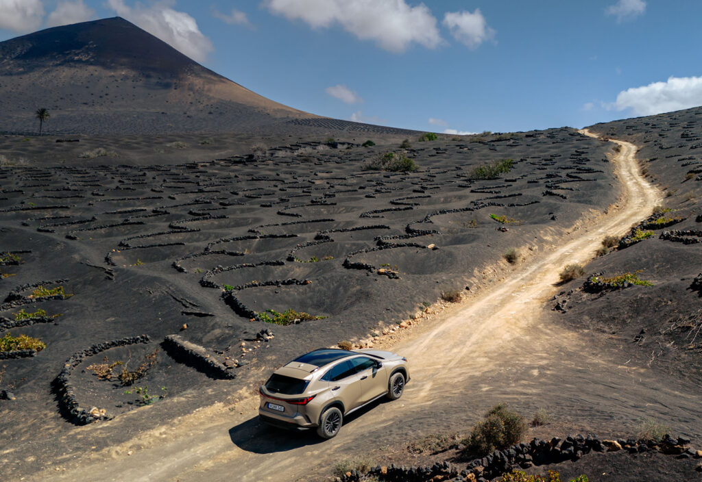 2025 Lexus NX Overtrail - Moon desert