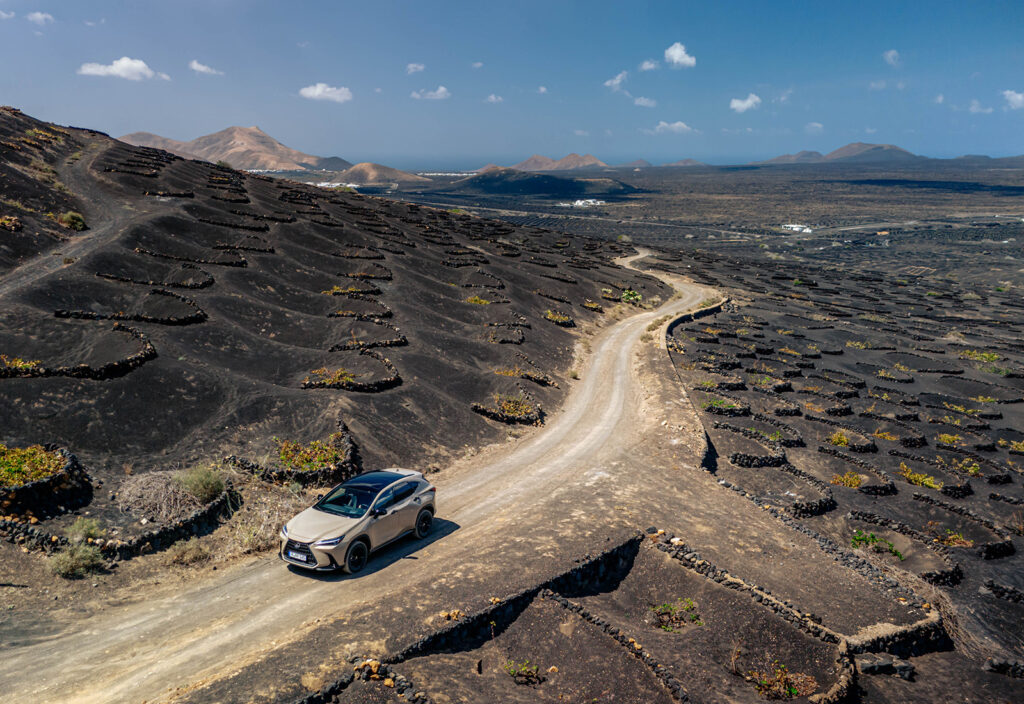 2025 Lexus NX Overtrail - Moon desert